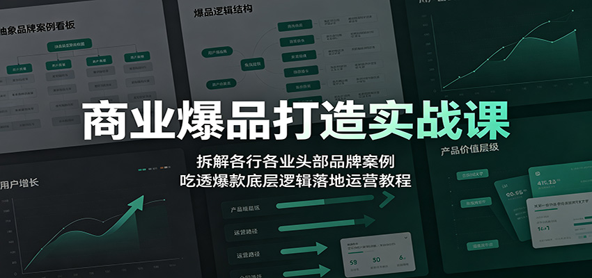 商业爆品打造实战课：拆解各行各业头部品牌案例，吃透爆款底层逻辑落地运营教程-资源共享