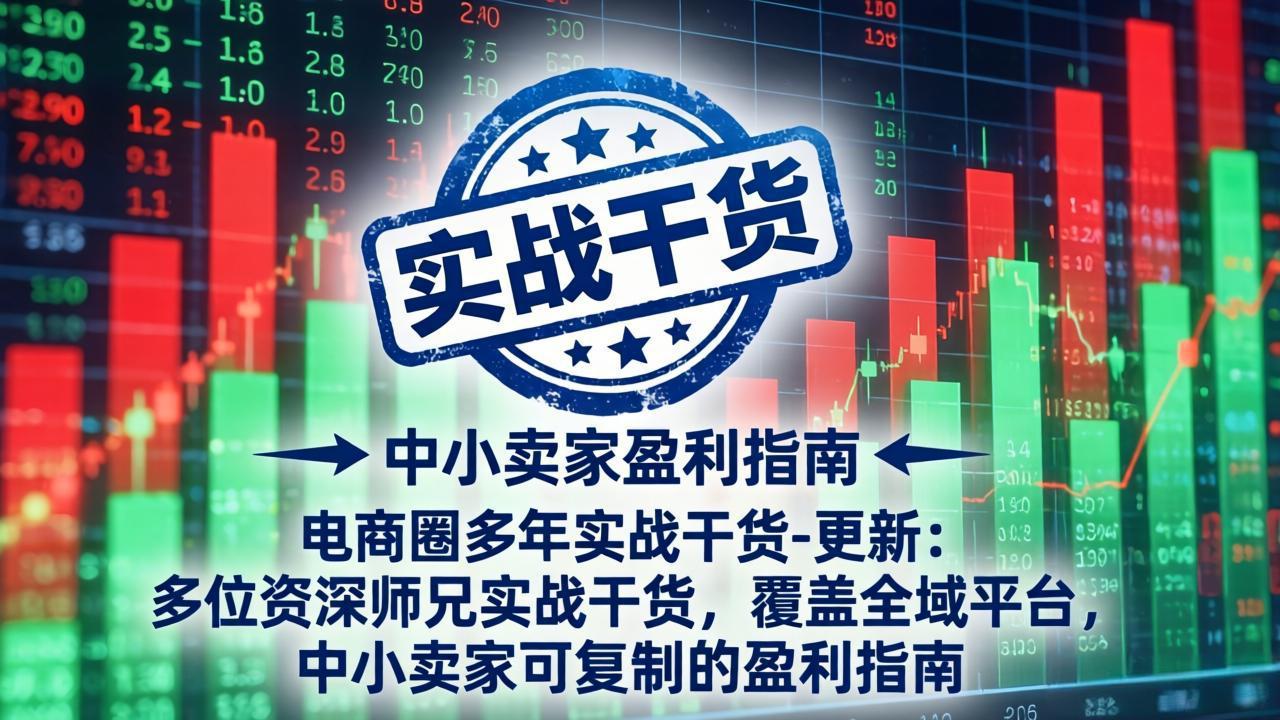电商圈多年实战干货-更新4月：多位资深师兄实战干货，覆盖全域平台，中小卖家可复制的盈利指南-资源共享