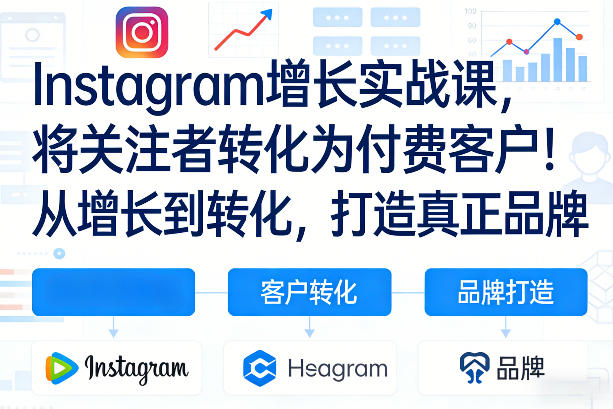 Instagram增长实战课，将关注者转化为付费客户！从增长到转化，打造真正品牌(双语字幕)-资源共享