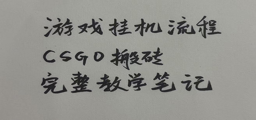 游戏挂机全流程笔记分享,CSGO游戏搬砖,小白看了当天学会见收益-资源共享