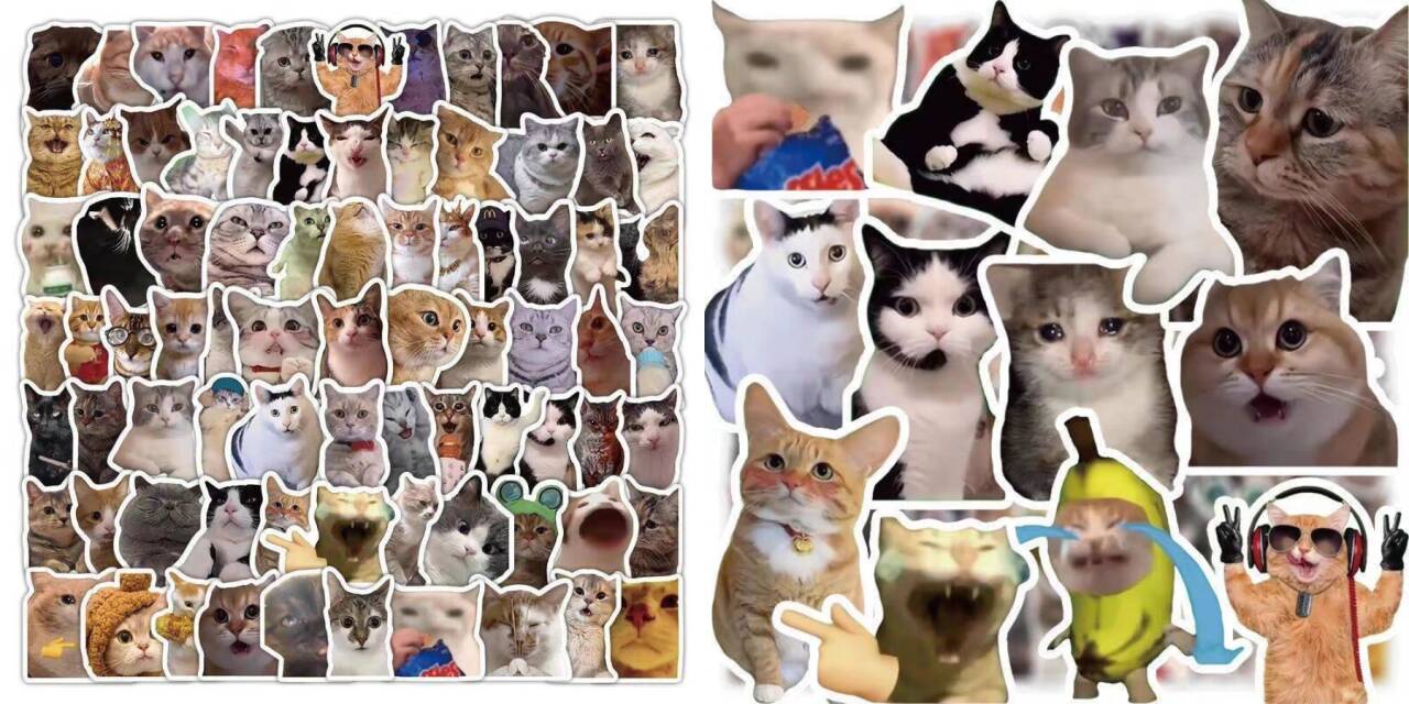 某宝付费素材,猫meme素材绿幕视频剪辑素材小猫咪跳舞,适合抖音B站搞笑短视频合集!-资源共享