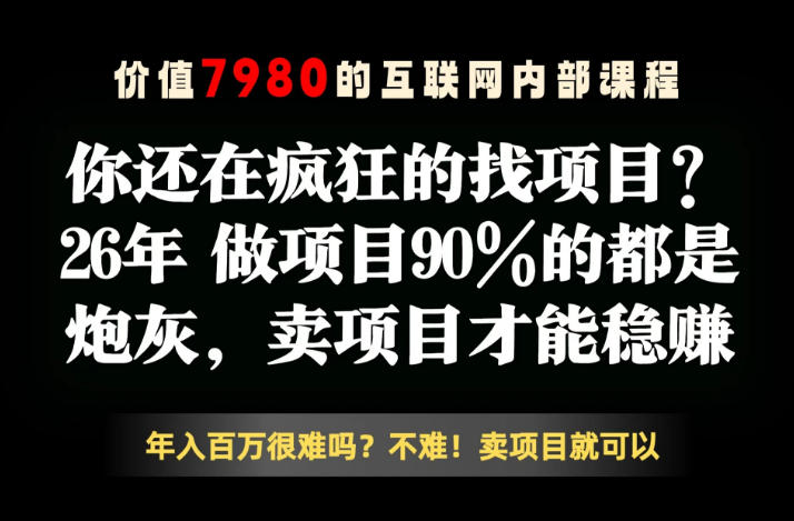 26年请不要疯狂的找项目了，卖项目远比你想象的暴利，你也可以月入10W+【揭秘】-资源共享
