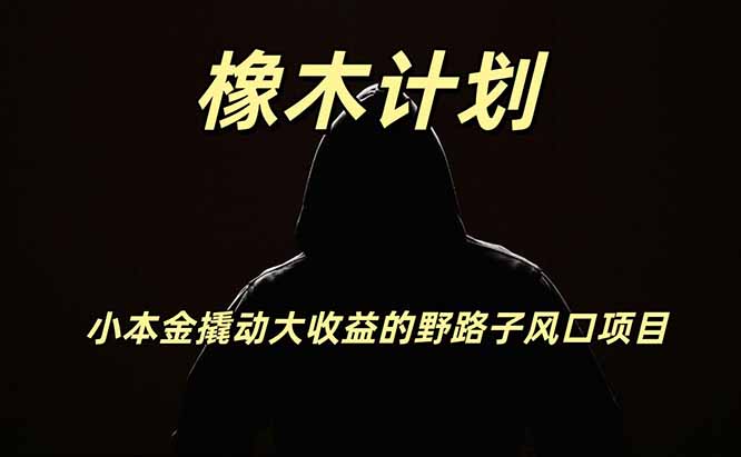 橡木计划，小投入撬动高回报的风口野路子项目，一天投入2小时左右-资源共享