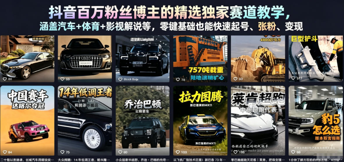 抖音百万粉丝博主的精选独家赛道教学，涵盖汽车+体育+影视解说等，零基础也能快速起号、涨粉、变现-资源共享