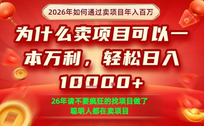 一单净利润1K+，26年想年入100个W，死磕卖项目就够了【揭秘】-资源共享