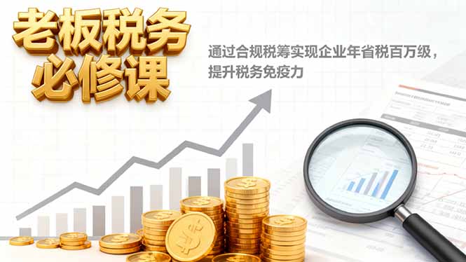 老板税务必修课，通过合规税筹实现企业年省税百万级，提升税务免疫力-资源共享