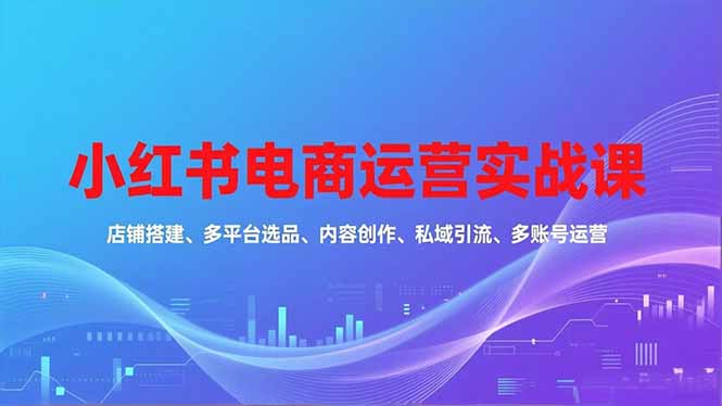 小红书电商运营实战课，店铺搭建、多平台选品、内容创作、私域引流、多账号运营等玩法-资源共享