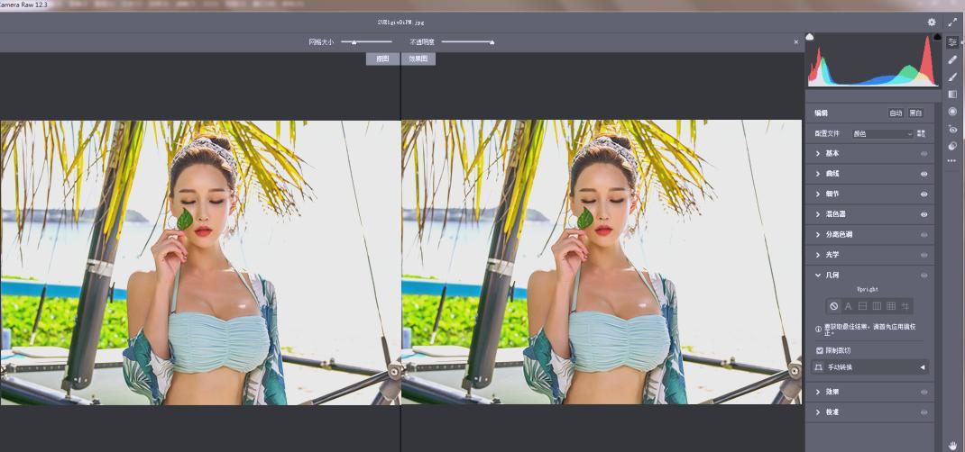 RAW处理Adobe Camera Raw v18.6.0中文版-资源共享