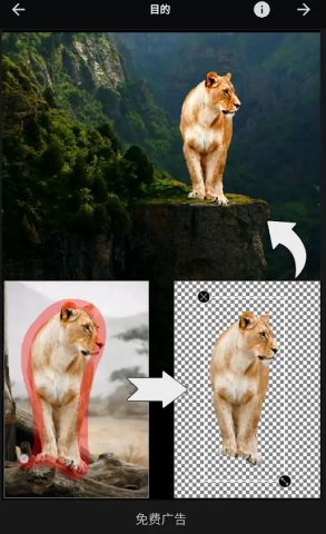 Picsart美易 v29.2.2高级版-资源共享