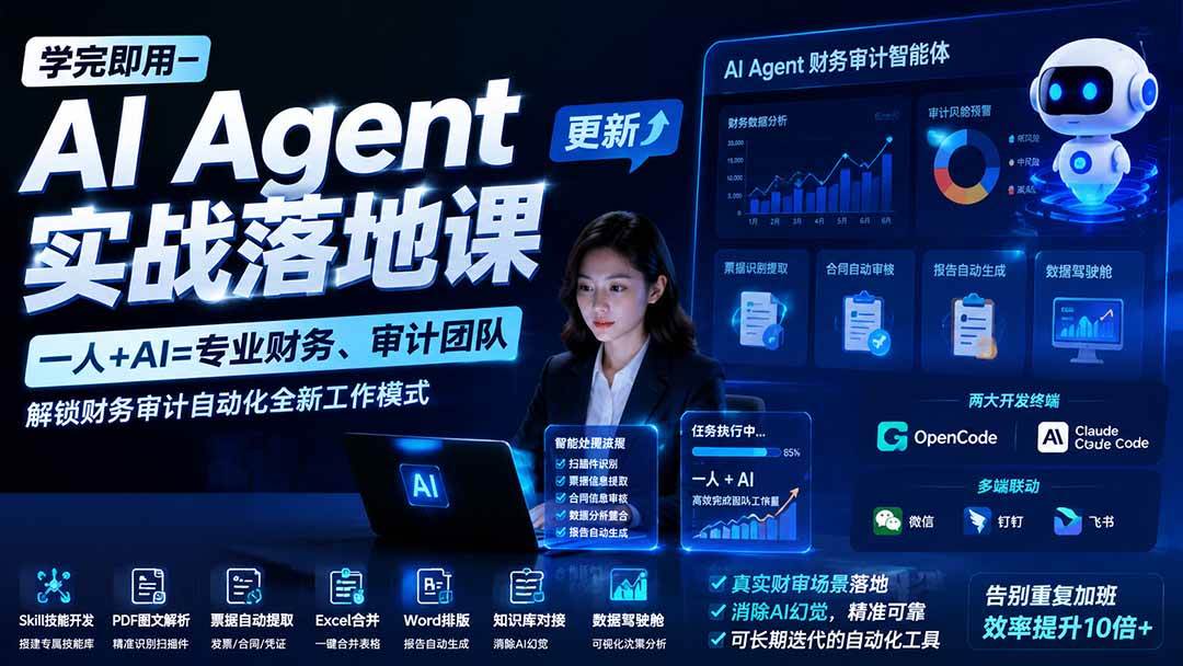 (20625期)【无水印】学完 即用-AI Agent实操落地课-更新0924:一人 + AI=专业财务、审计团队,解锁财务审计自动化全新工作模式-资源共享