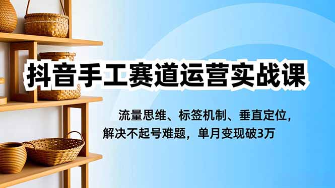 抖音手工赛道运营实战课，流量思维、标签机制、垂直定位，解决不起号难题，单月变现破3万-资源共享