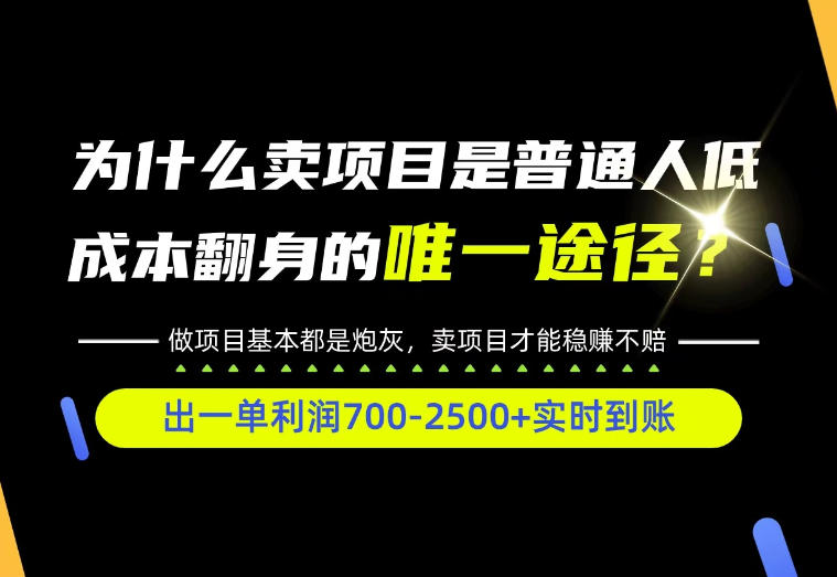 普通人如何靠互联网賺取自己的第一桶金!全类目实操型教学,看完你全都懂了!【揭秘】-资源共享
