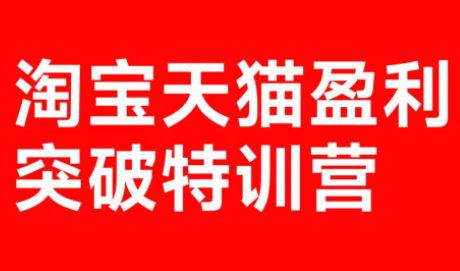 玺承·淘宝天猫盈利突破特训营(25年12月线下课)【音频+字幕】-资源共享