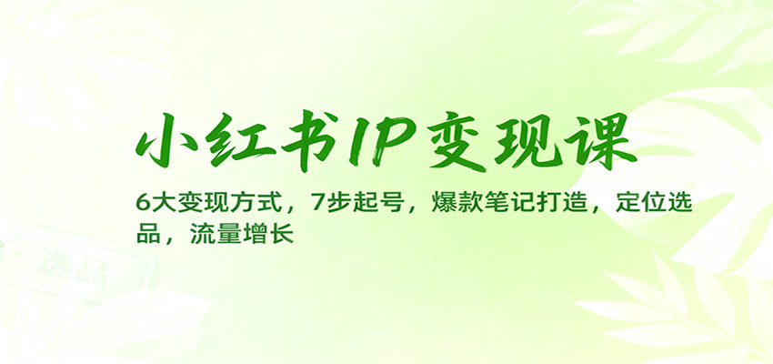 小红书IP变现课：6大变现方式，7步起号，爆款笔记打造，定位选品，流量增长-资源共享
