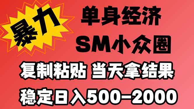 (21205期)26年 最新小众情感赛道,手机操作,十分钟见收益,小白也能当天上手,全程复制粘贴模板即可,稳定日入1k+-资源共享