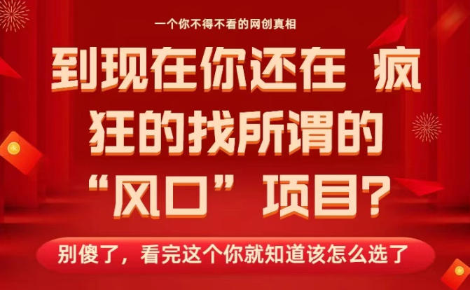 马上26年了，你还在找所谓的风口项目？别傻了，看完这个你全都懂了！【揭秘】-资源共享