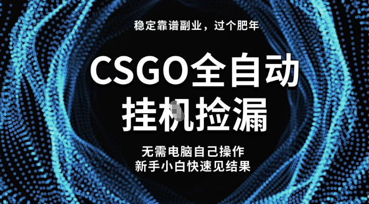 【稳定副业】全球最热门游戏CSGO全自动捡漏，最新玩法，新手小白日入5张+【揭秘】-资源共享