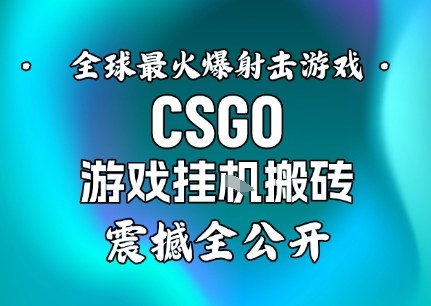 【年底大揭秘】基于全球最火爆的射击CSGO游戏挂G搬砖，日入5张+，震撼公开-资源共享