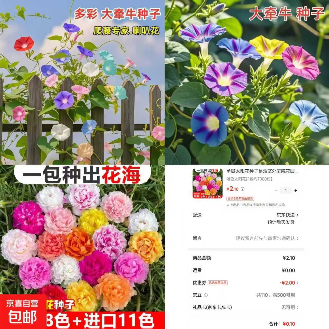 京东0.1太阳花种子约7000粒-资源共享