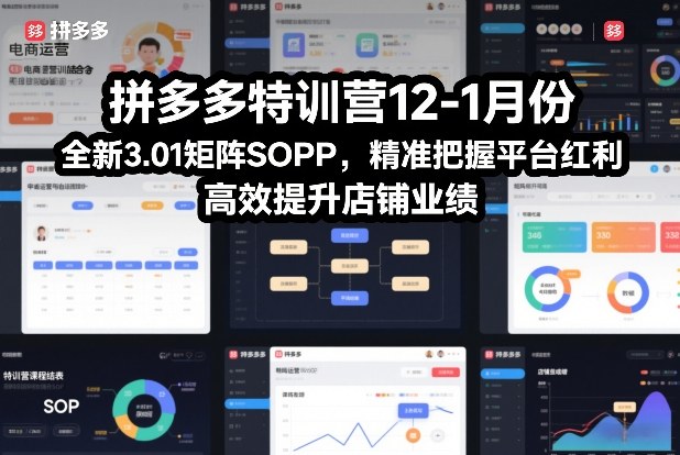 拼多多特训营12-1月份，全新3.01矩阵Sop，精准把握平台红利，高效提升店铺业绩-资源共享