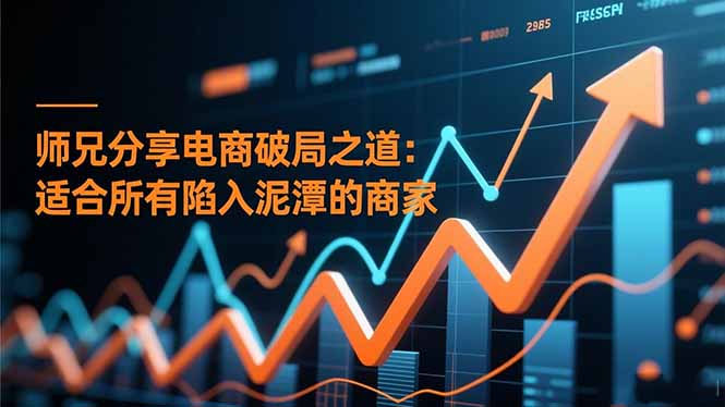 师兄分享电商破局之道：适合所有陷入泥潭的商家-资源共享