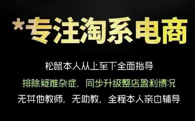 松鼠会电商VIP课程,从基础布局到高阶优化,助你掌握淘宝运营逻辑,提升店铺流量与转化-资源共享