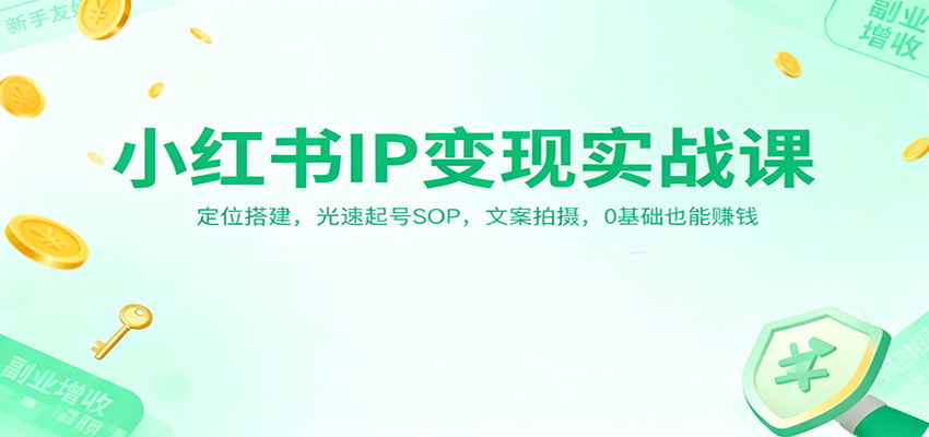 小红书IP变现实战课：定位搭建，光速起号SOP，文案拍摄，0基础也能赚钱-资源共享