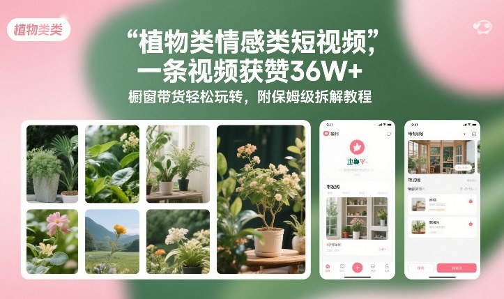 植物类情感类短视频，一条视频获赞36W+，橱窗带货轻松玩转，附保姆级拆解教程-资源共享