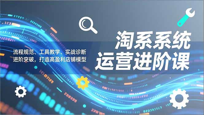 淘系系统运营进阶课2.0，流程规范、工具教学、实战诊断，进阶突破，打造高盈利店铺模型-资源共享