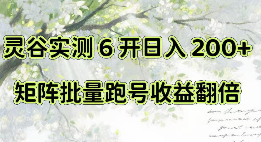 一台电脑就能做！灵谷实测6开日入200+，矩阵批量跑号收益翻倍【揭秘】-资源共享