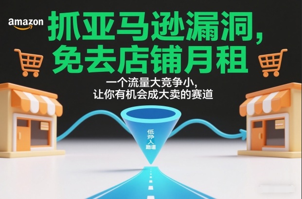 抓亚马逊漏洞，免去店铺月租，一个流量大竞争小，让你有机会成大卖的赛道-资源共享