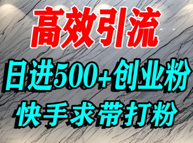 怎么打创业粉？快手求带视角精准引流创业粉，宝妈、学生群体日进500+精准流量-资源共享