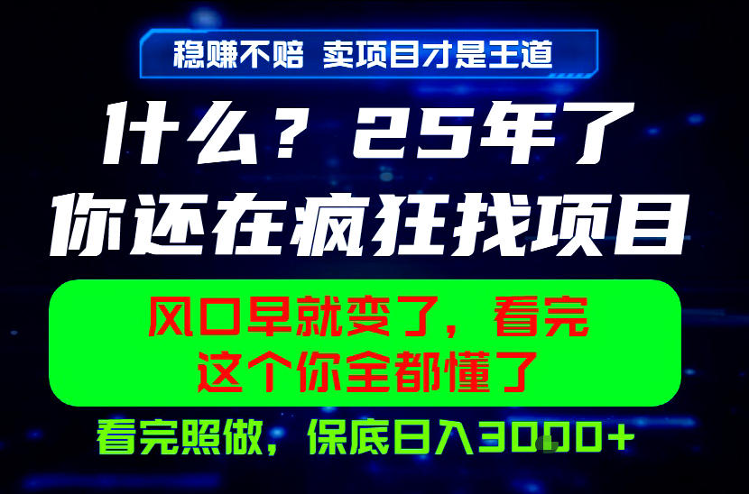 26年,请不要疯狂的找项目做了!卖项目才是真的稳賺不赔,看完照做,保底日入1k+【揭秘】-资源共享