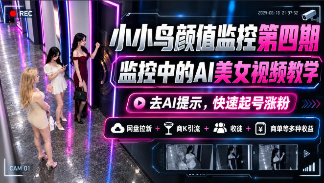 小小鸟颜值监控第四期，监控中的AI美女视频教学，去AI提示，快速起号涨粉，网盘拉新+商K引流+收徒+商单等多种收益-资源共享