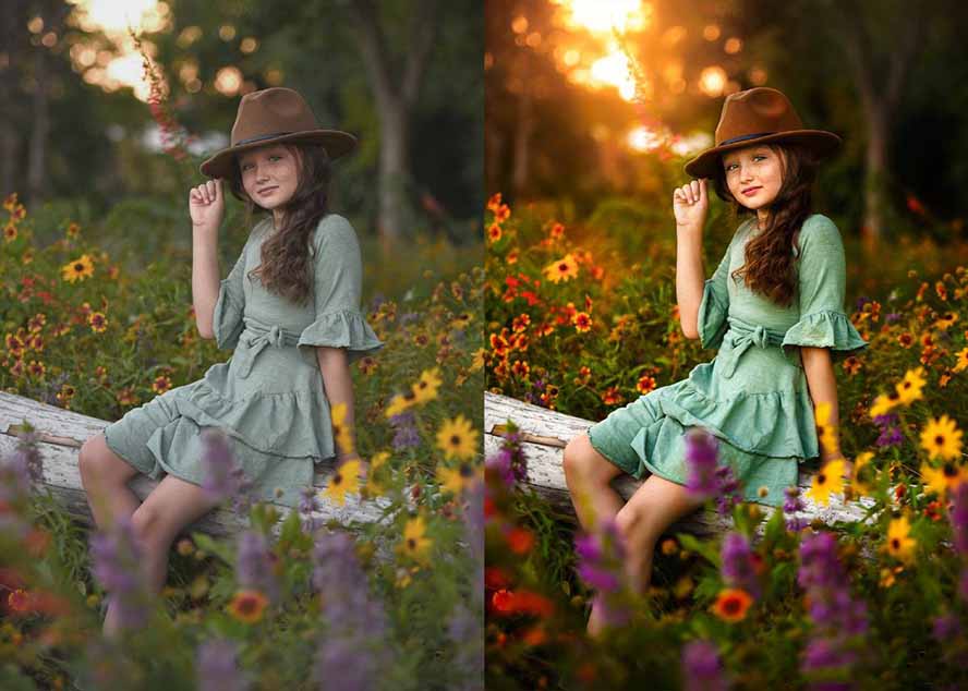 大师级GTG出品-老友记系列AI自适应预设The Friends Preset Collection-资源共享