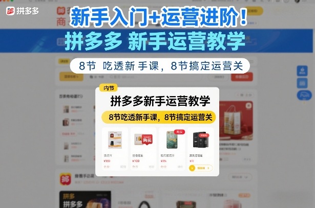 新手入门+运营进阶！拼多多新手运营教学，8节吃透新手课，8节搞定运营关-资源共享