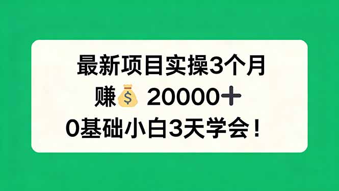 最新项目实操3个月，赚钱20000+，0基础小白3天学会！-资源共享