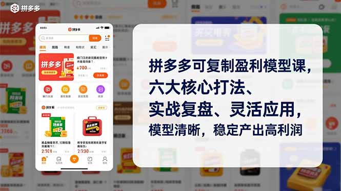 拼多多可复制盈利模型课，六大核心打法、实战复盘、灵活应用，模型清晰，稳定产出高利润-资源共享