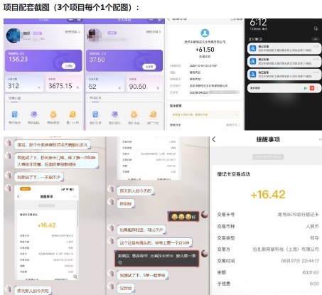 当天能收益的3个小项目拆解_包括平台+操作流程-资源共享