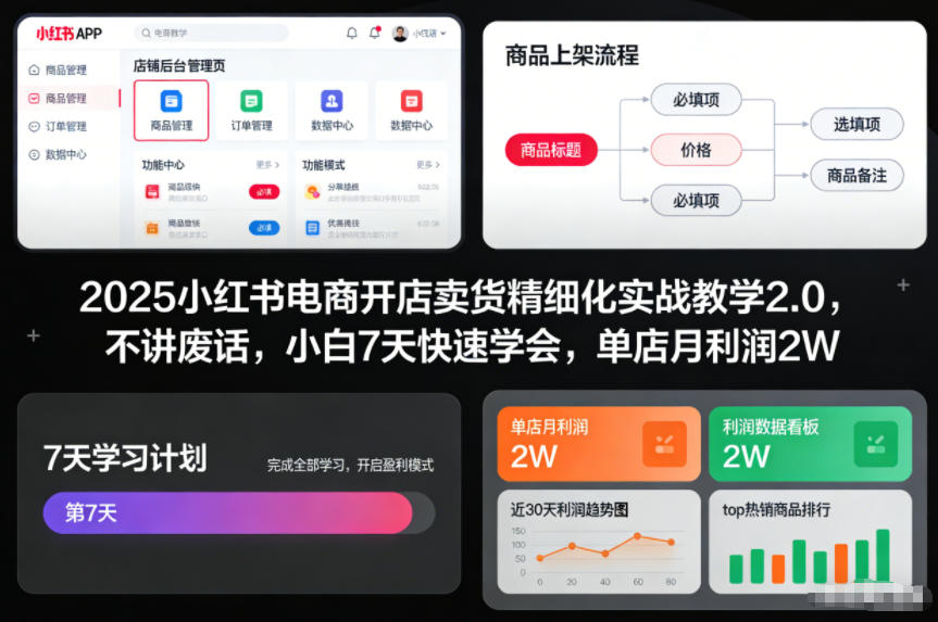 2025小红书电商开店卖货精细化实战教学2.0，不讲废话，小白7天快速学会，单店月利润2W-资源共享