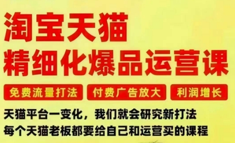 淘宝天猫精细化爆品运营课，免费流量打法-付费广告放大-利润增长-三大核心痛点，一次全部解决-资源共享
