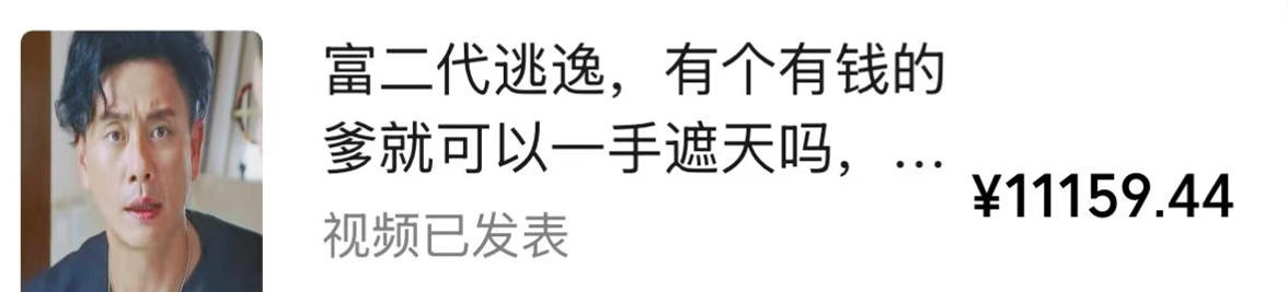 视频号某大佬的影视搬运教学,纯手法操作,可以多个平台可以发布,撸分成计划+伙伴计划+光合计划收益等-资源共享