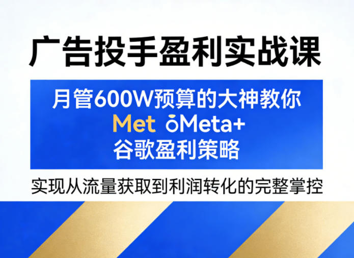 广告投手盈利实战课,月管600W预算的大神教你Meta+谷歌盈利策略,实现从流量获取到利润转化的完整掌控-资源共享