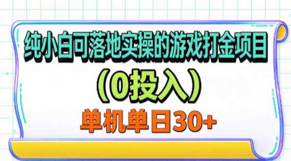 (20993期)纯小白可落地实操的游戏打金项目(0投入)单机单号30+-资源共享